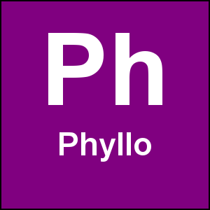 Phyllo